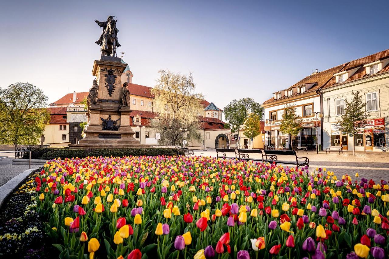 Hotel Zamecek Poděbrady Екстериор снимка